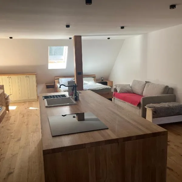 Apartmaji pri Mojci，位于Podvelka的酒店