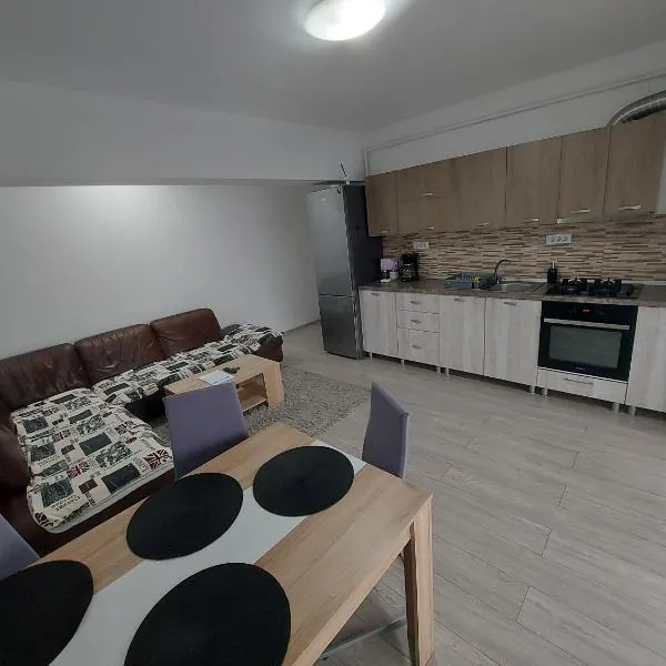 Apartament Dem Radulescu Bloc nou!，位于拉姆尼库沃尔恰的酒店