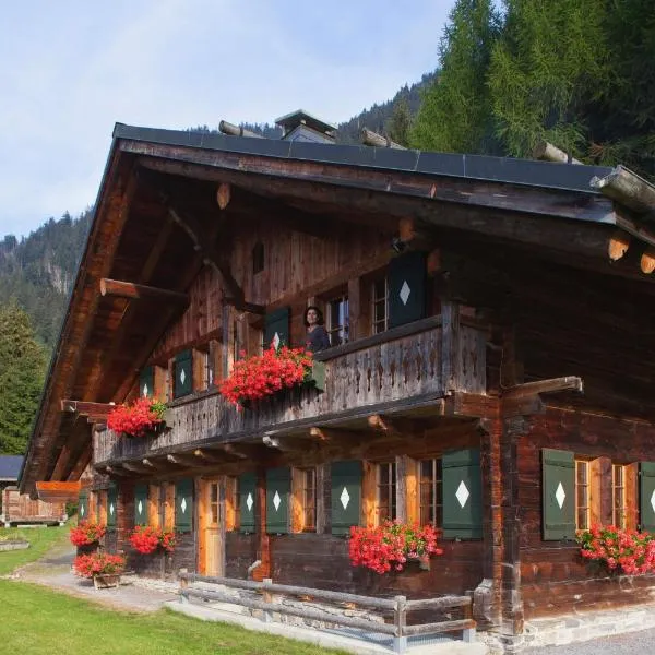 Le Chalet de Lara，位于瓦尔·蒂利兹的酒店