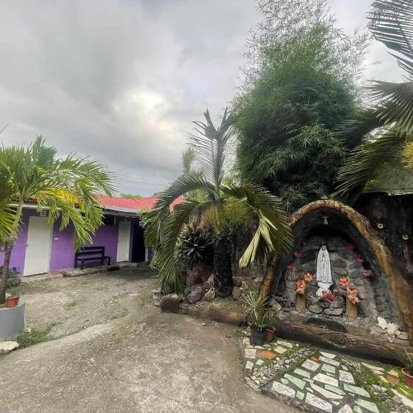 OYO 1214 Cherry Travellers Inn,位于San Jose de Buenavista的酒店