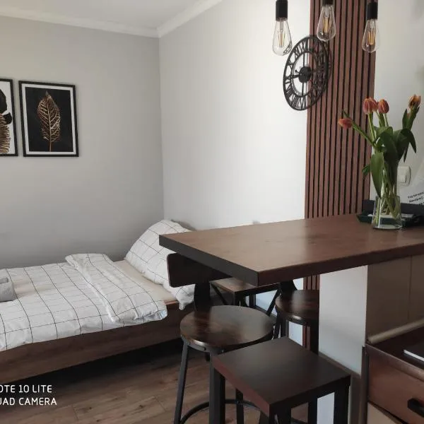 Pokoje Gościnne Leśna 33,位于斯拉瓦的酒店