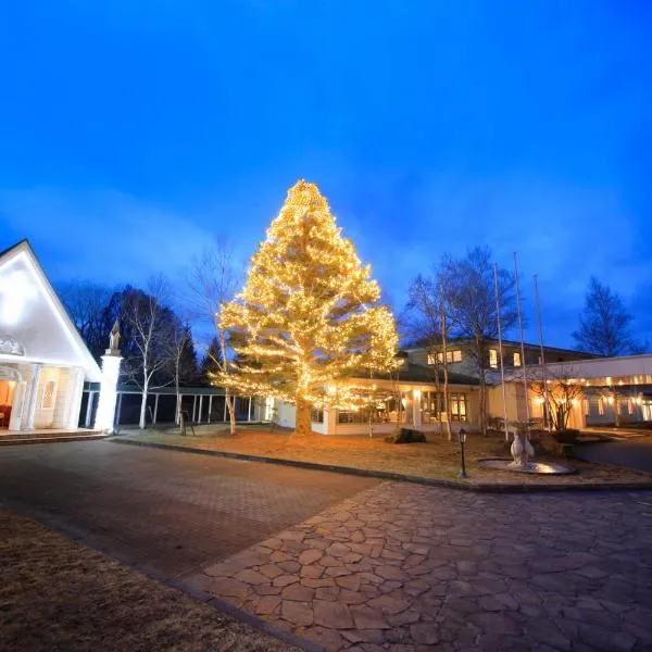 Yutorelo Karuizawa Hotel，位于Oiwake的酒店