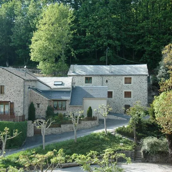 Gîte de Rouayras，位于Murat-sur-Vèbre的酒店