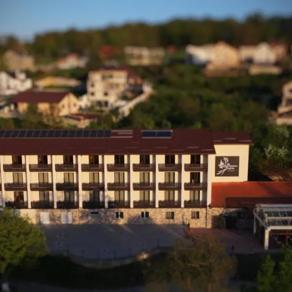 Phoenix Hotel Hunedoara,位于胡内多阿拉的酒店