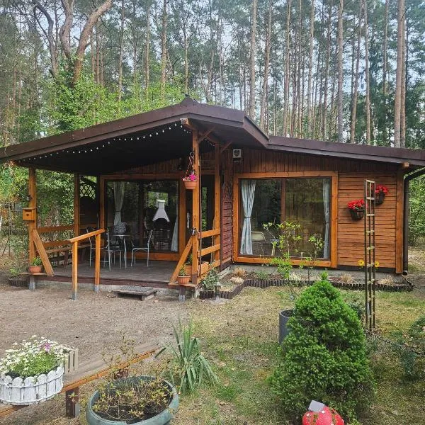 HomeWood - Popowo Letnisko，位于Gąsiorowo Duże的酒店