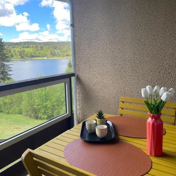 Appartement en bord de lac，位于马尔比伊松的酒店