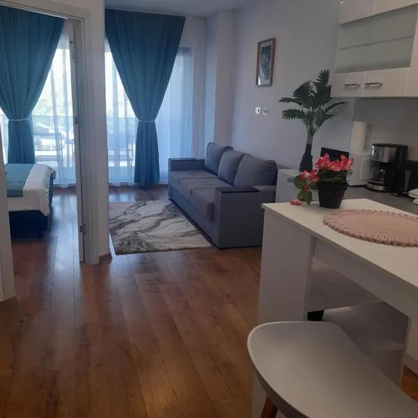 Apartament Camelia,位于萨图恩的酒店