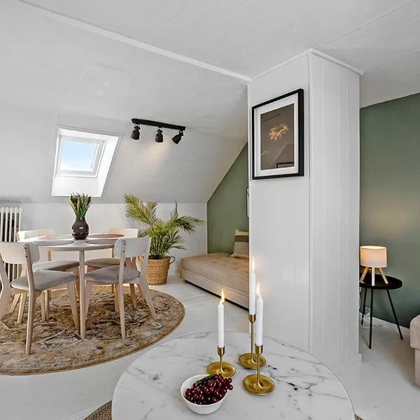 Small, cozy penthouse with free parking，位于奥尔堡的酒店