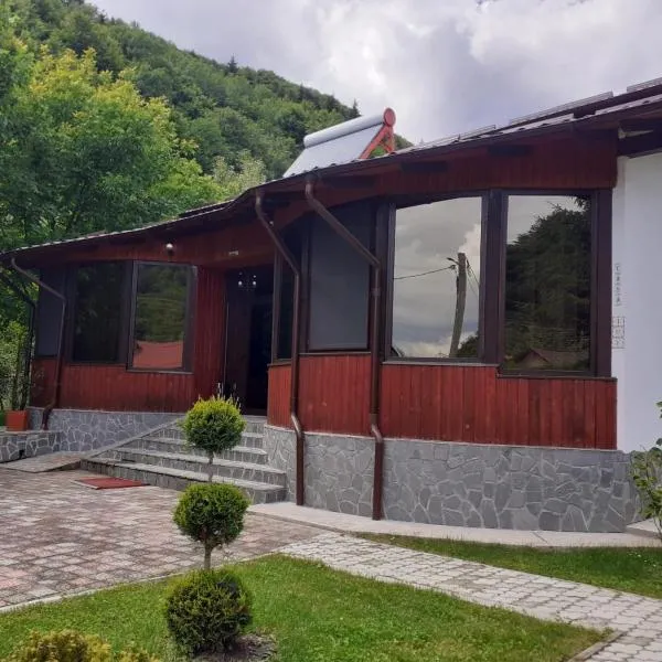 La Păstrăvărie ,,Casa Iov,,,位于莫罗埃尼的酒店