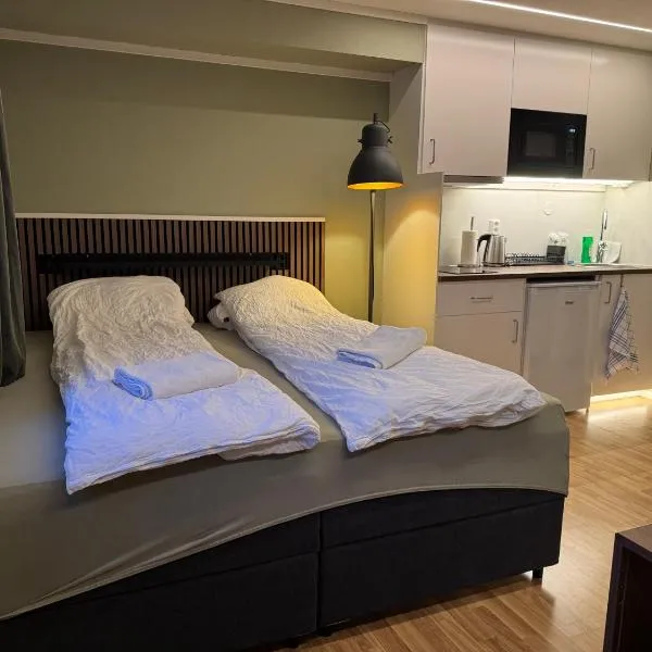 Brand new mini apartment with kitchen，位于Åmot的酒店