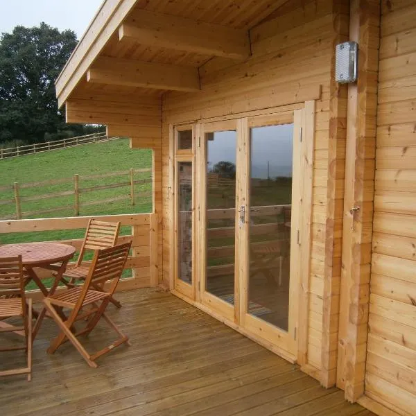 Long Mountain Centre Log Cabins，位于Llandrinio的酒店