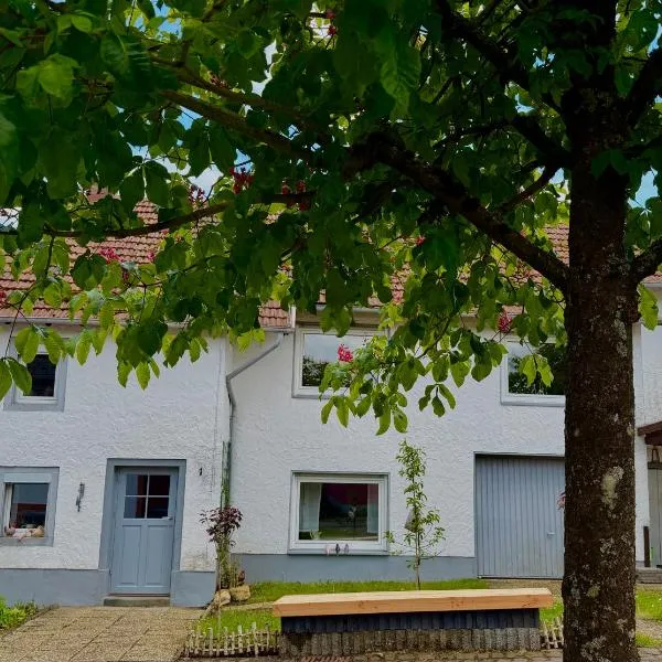 EifelFein，位于Niederstadtfeld的酒店