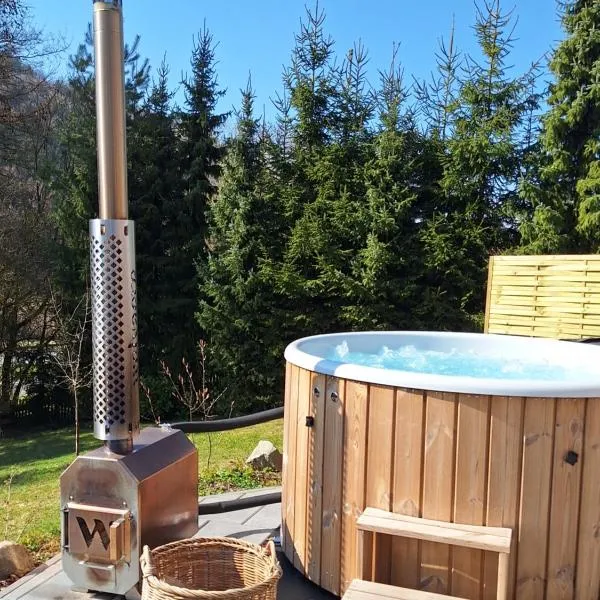 Ferienhaus 1000 Berge Winterberg Kamin & Whirlpool，位于温特贝格的酒店
