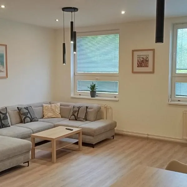 Apartmán Istebné luxure，位于Istebné的酒店