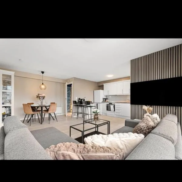 Bright and spacious 2 bedrooms apartment，位于特隆赫姆的酒店