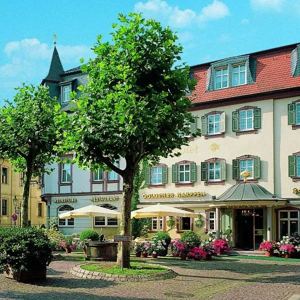 Hotel Goldener Karpfen OHG，位于Dipperz的酒店