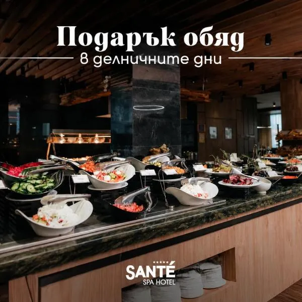 Santé SPA Hotel，位于韦林格勒的酒店