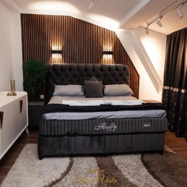 Elena Vista Apartments，位于什蒂普的酒店