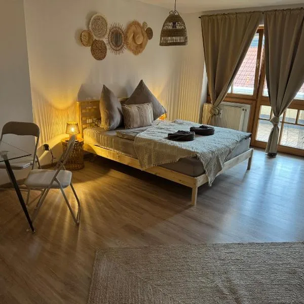 BOHO City Apartment mit Tiefgarage nähe Salzburg，位于弗赖拉辛的酒店