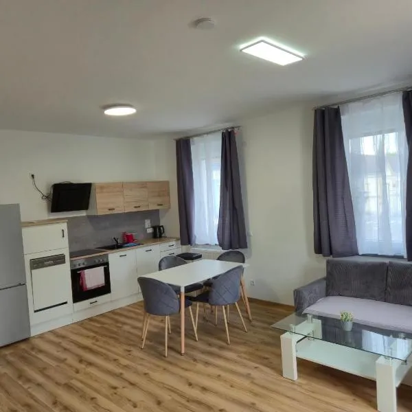 Travel & Bike Apartments an der Donau - mit WLAN & Bike Garage，位于多瑙河畔伊布斯的酒店