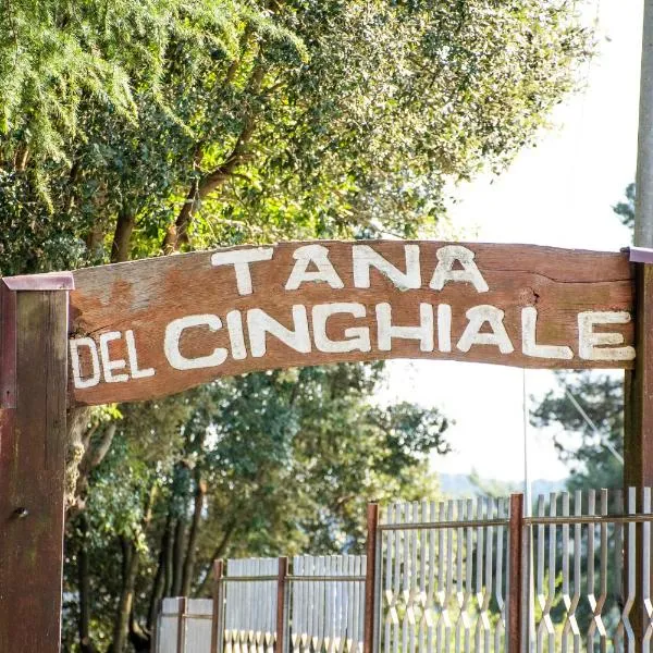 La Tana Del Cinghiale，位于Tirli的酒店