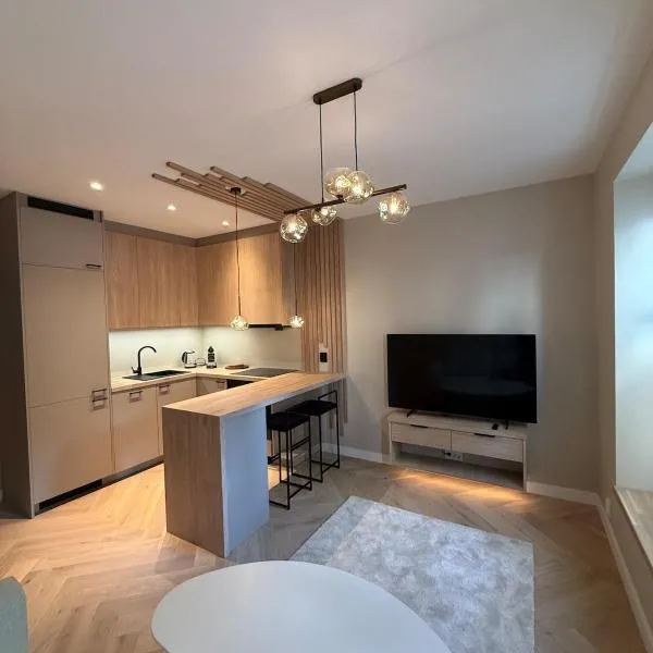 Stylish apartment in the center of Oslo，位于奥斯陆的酒店