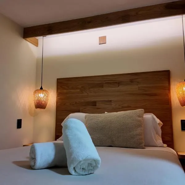 Terraza & Loft San Ángel，位于墨西哥城的酒店