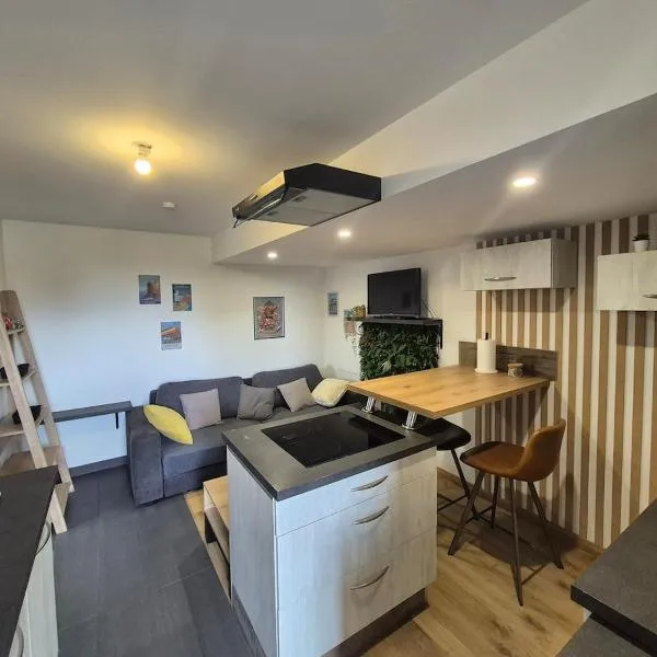 Cocon moderne et chaleureux，位于克朗的酒店