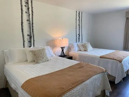 Eagle Peak Lodge & Cabins，位于阿什顿的酒店