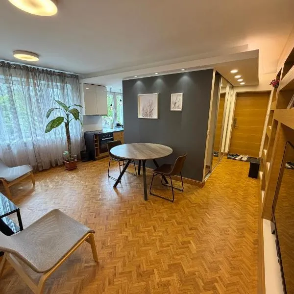 Old Town Apartment，位于沃鲁的酒店