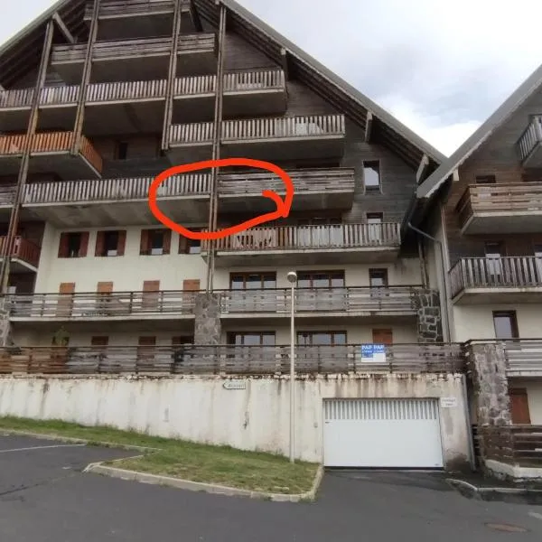 appartement 6 couchages à Super Besse，位于贝斯和圣阿纳斯泰斯的酒店