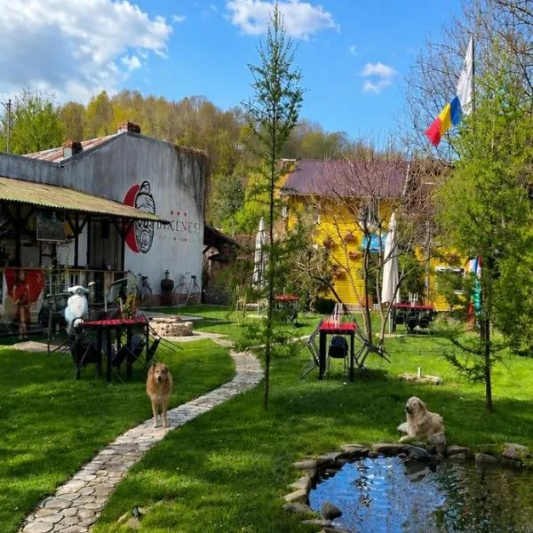 Pensiunea Deceneu，位于斯勒尼克的酒店