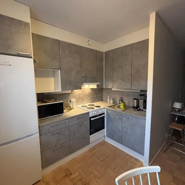 Louhentornin Saunallinen Yksiö，位于皮耶克赛迈基的酒店