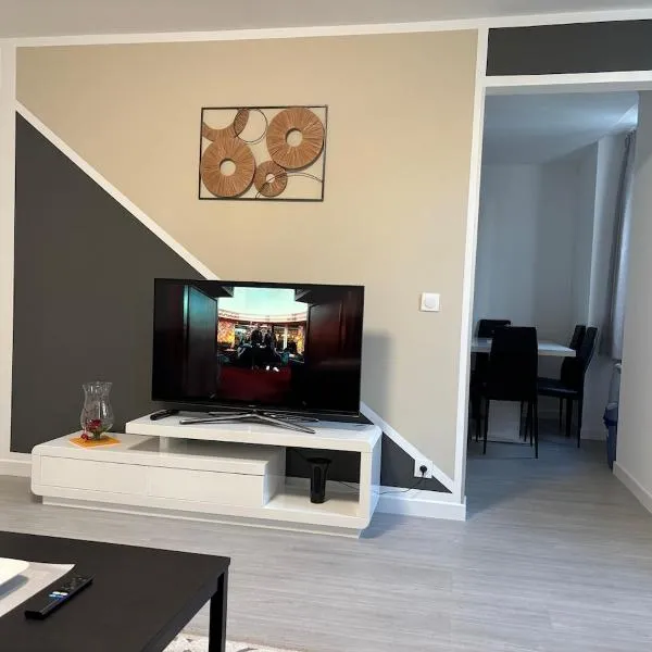 Appartement centre-ville Mulhouse，位于米卢斯的酒店