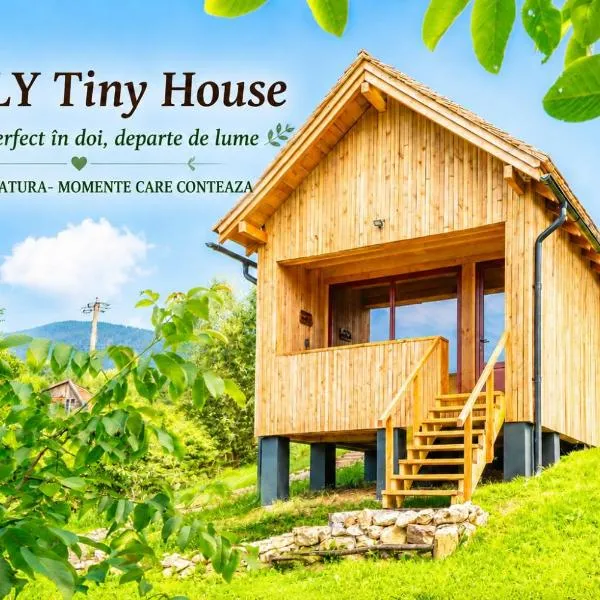 Wezly Tiny House，位于默古拉的酒店