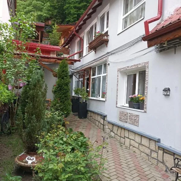 Casa Slanic House，位于斯兰默多瓦的酒店