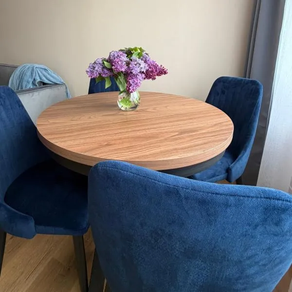 MG Apartament City Park，位于什切齐内克的酒店