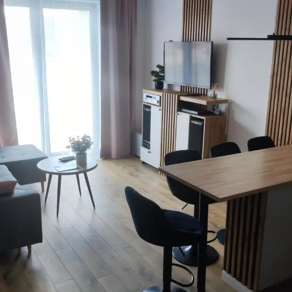 Apartament Bieszczady，位于莱斯科的酒店