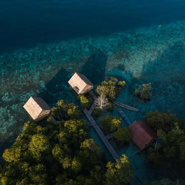 Yonas Homestay - Raja Ampat，位于Besir的酒店
