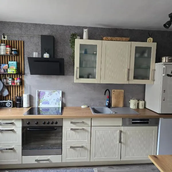 Tenneberger Wohnung1，位于伊尔森堡的酒店