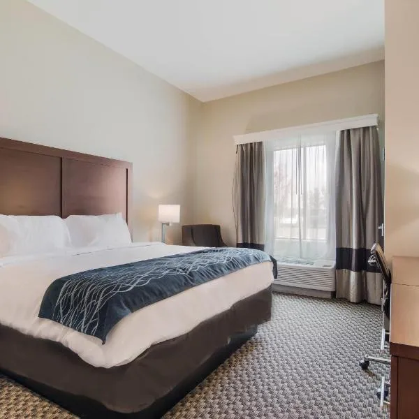 Comfort Inn & Suites Rock Hill Northeast，位于岩石丘的酒店