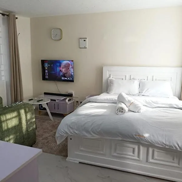 Legatus Cozy Studios - Zambia Stage Ngong Town，位于Ngong的酒店