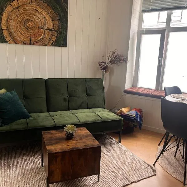 Bright and charming downtown apartment in historical peaceful area，位于奥勒松的酒店