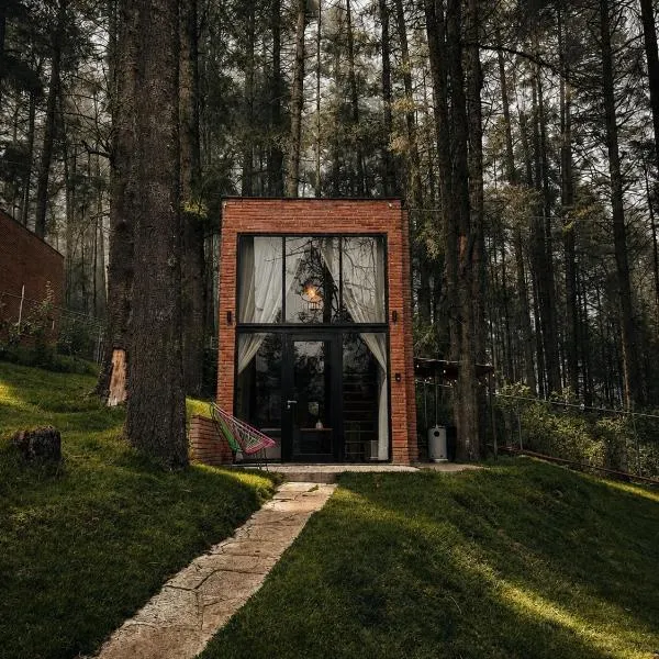 Cabañas Boutiques TinyChillHouse，位于小米内拉尔的酒店