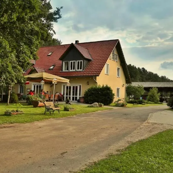 Pension Zum Rheinsberger Leuchtturm，位于赖因斯贝格的酒店