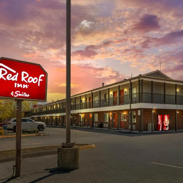 Red Roof Inn & Suites Swansea，位于Swansea的酒店