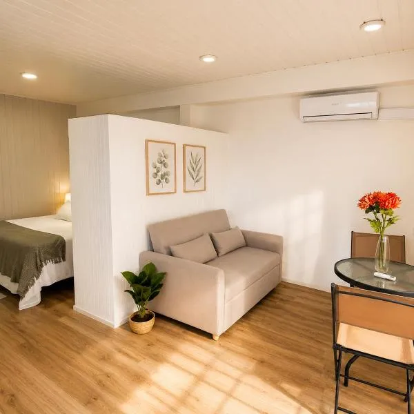 Loft y Parking Centro de Melipilla，位于梅利皮亚的酒店