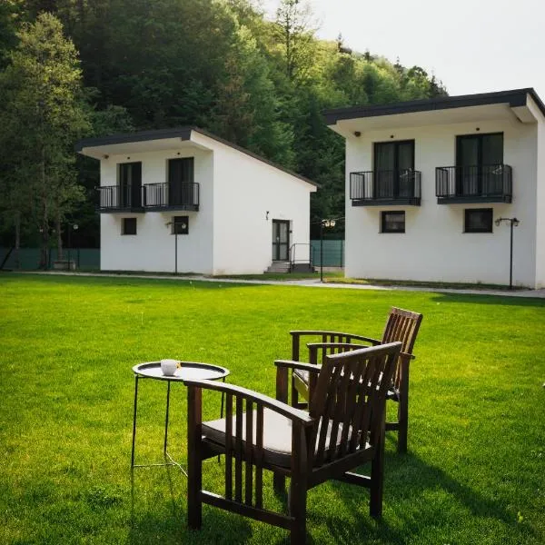 WhiteBergHaus Colibita，位于科利比塔的酒店
