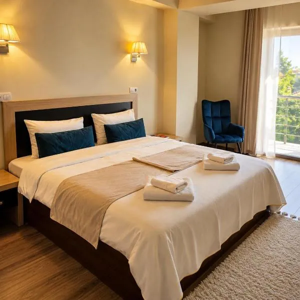 Hotel Oxford By TimHotels，位于蒂米什瓦拉的酒店