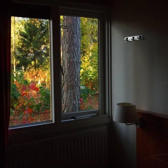 forest villa, 6 minutes from the airport，位于Taşoluk的酒店
